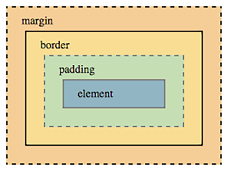 The box model