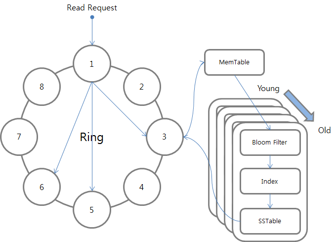 Cassandra Data Read