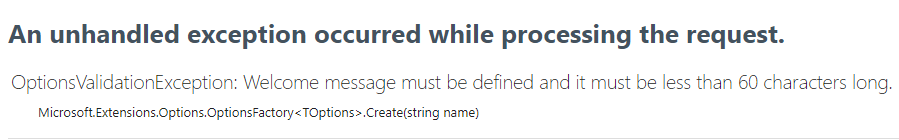 custom options validation ex message