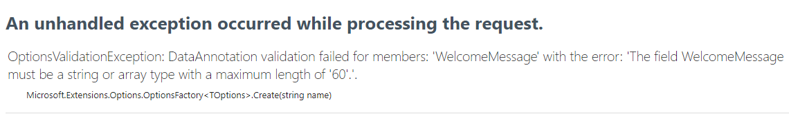 options validation maxlength exception